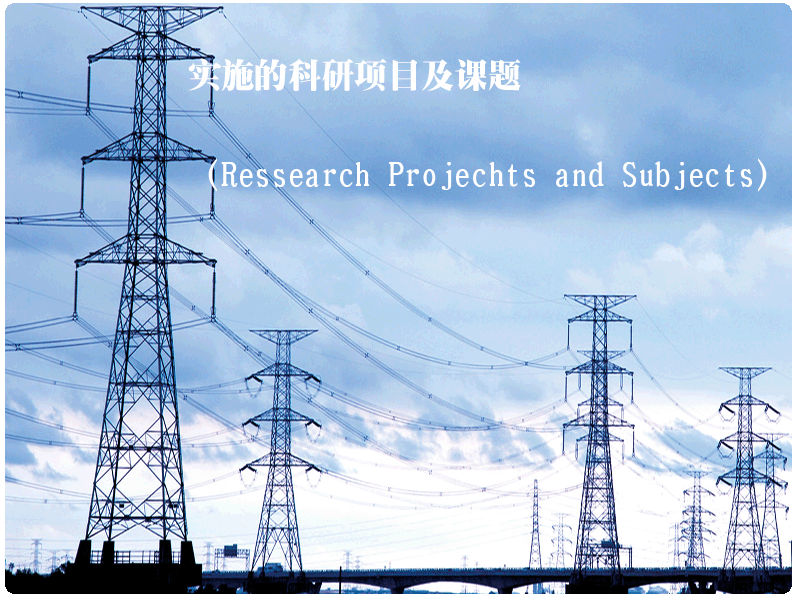 实施的科研项目及课题（Ressearch Projechts and Subjects）
